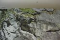 0_2577469_27290.jpg