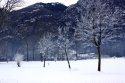 0_2683243_27290.jpg